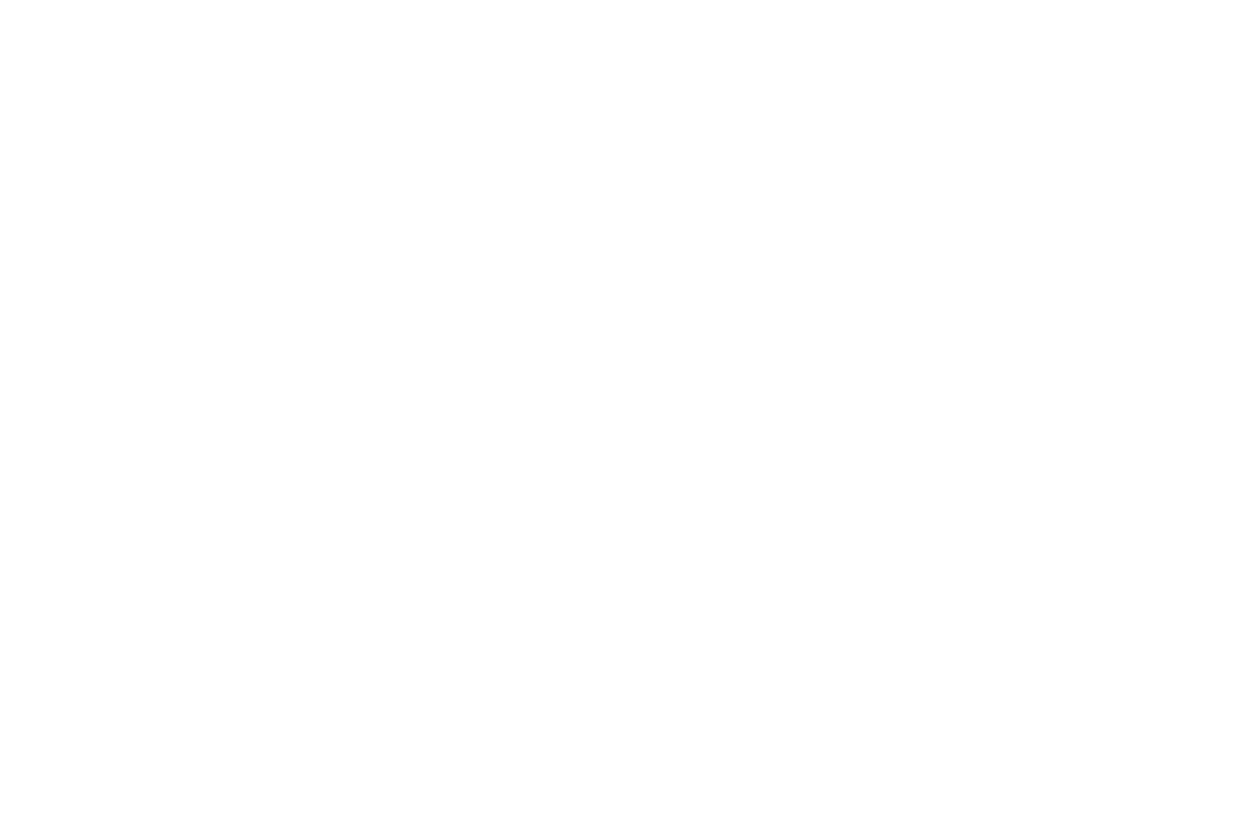 REMI Award WorldFest-Houston 2024